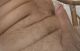 Bubka (39) - Dominant  Male & Master - Békés - Békéscsaba